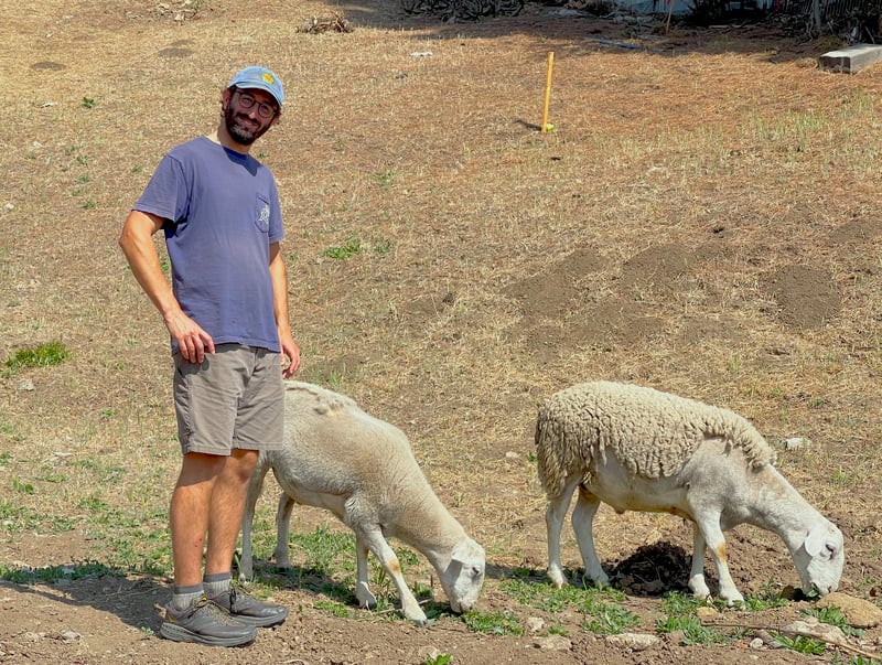 Tessler with sheep, color corrected, IMG_7996