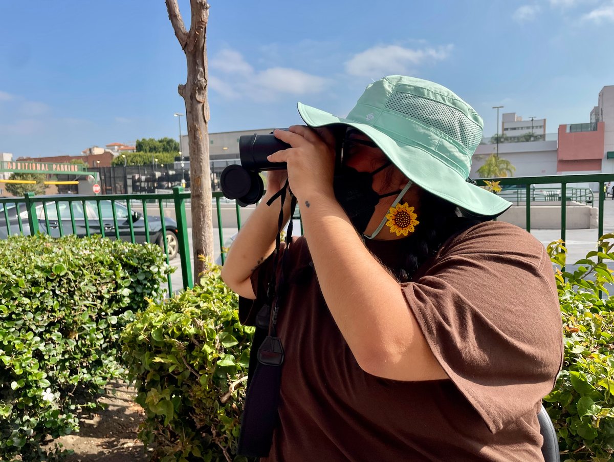An LA Tenants Union community defense center volunteer watches oncoming traffic for cars that could contain federal immigration agents. Photo by Megan Jamerson/KCRW.