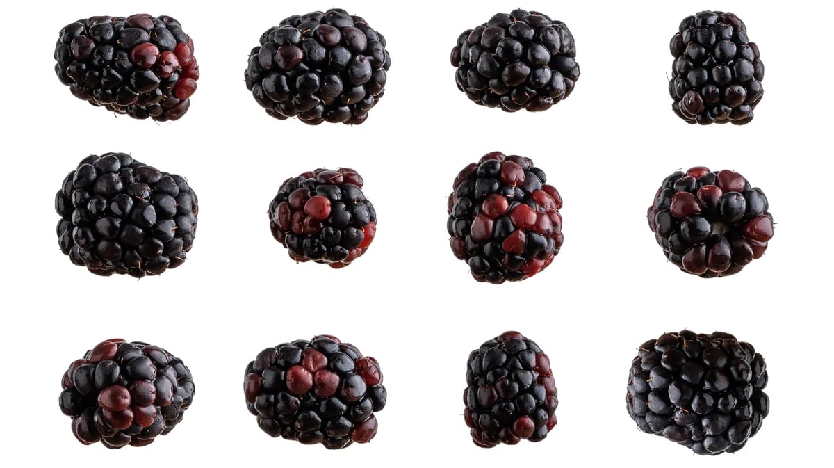 Boysenberries. Photo by Shutterstock.