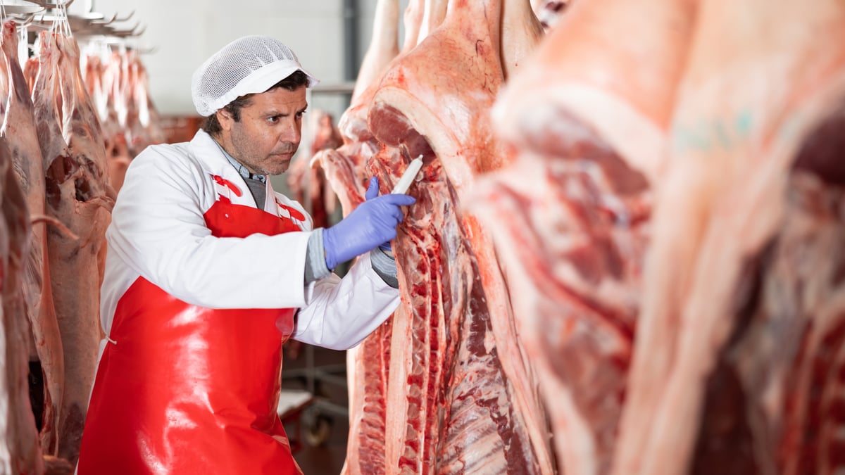 butcher cuts into a pig carcass