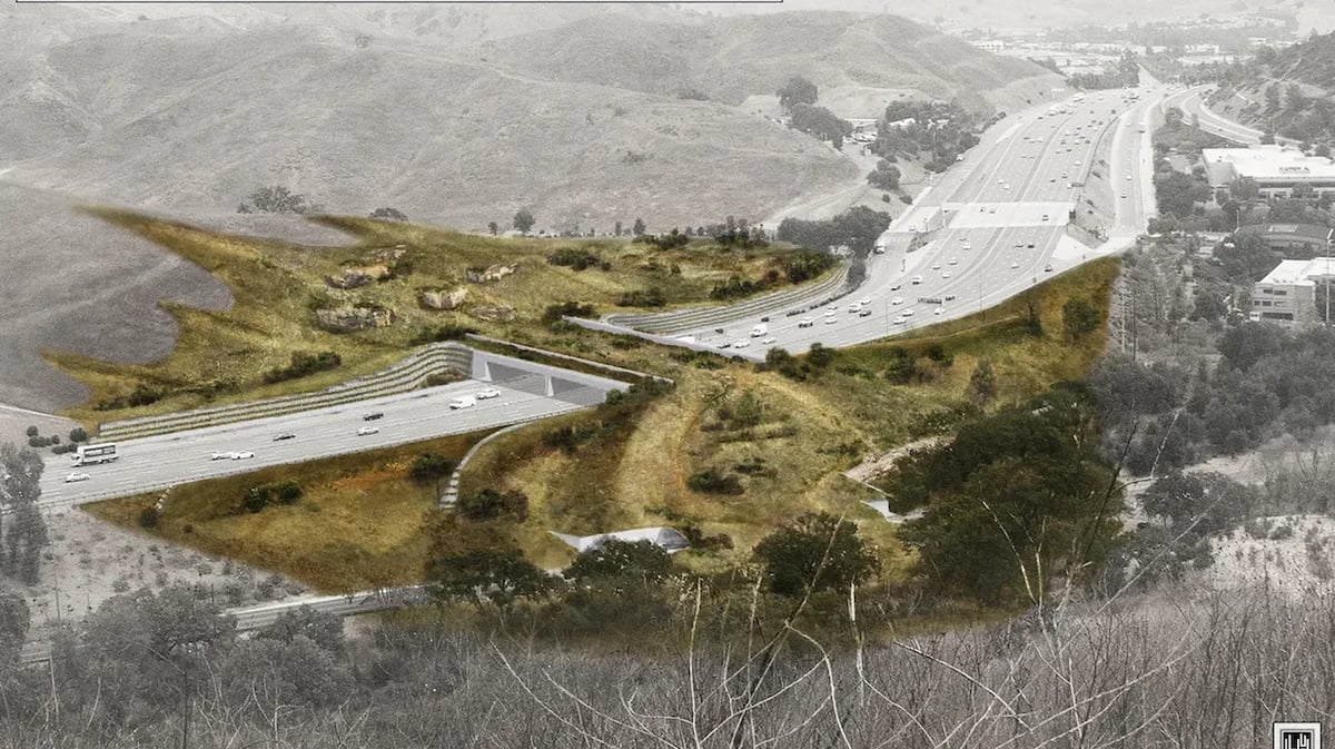 A rendering of the wildlife crossing. Credit: National Wildlife Federation.