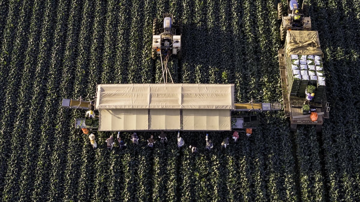 gettyimages-2081650199_wide-e5c352d97b34173776a8d5d6d17f19d1ecc83d8a-s1600-c85